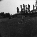 nerudova (13)